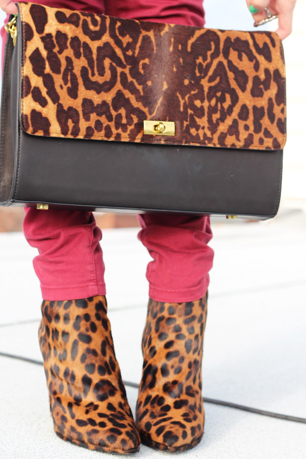 Leopard Love