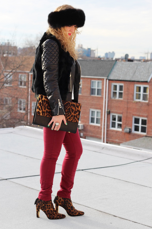 Leopard Love